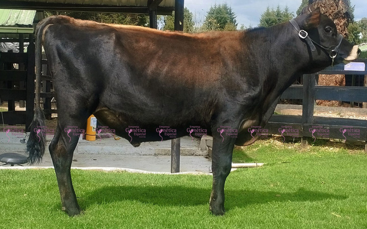 toros-leche-jersey-kaleb